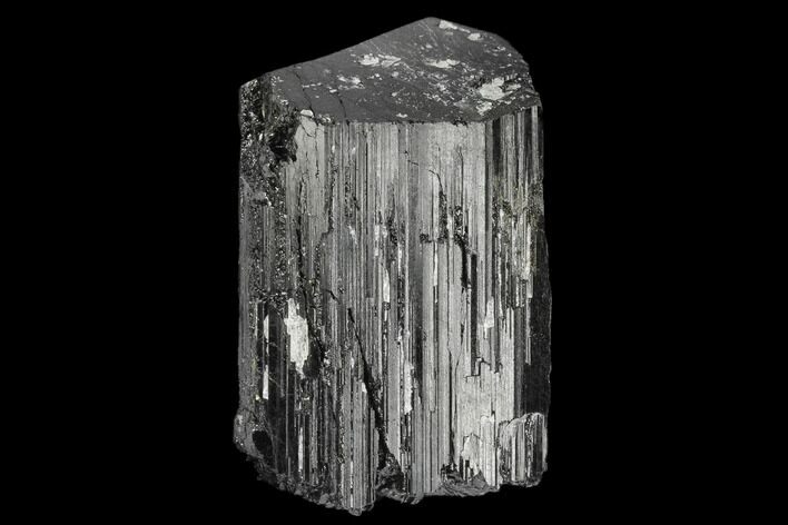 Terminated Black Tourmaline (Schorl) Crystal - Madagascar #174153
